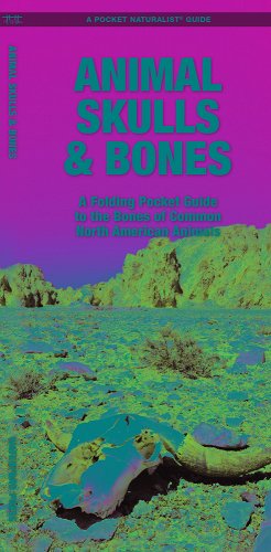 Laminated reference guide: Animal Skulls and Bones in North America