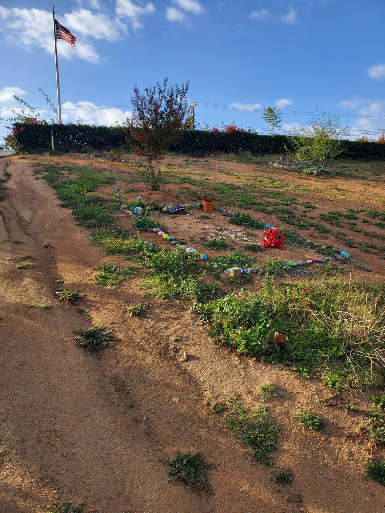 Partial view of green burial in San Diego County at Fallbrook Masonic Cemetery
